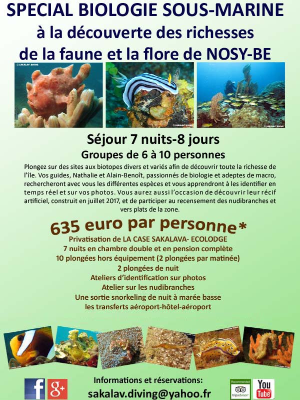 offre speciale plongée et hébergement Nosy Be